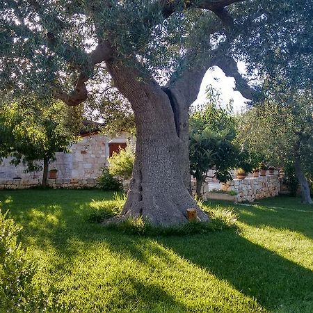 卡斯特拉纳格罗泰Il Giardino Degli Ulivi住宿加早餐旅馆 外观 照片
